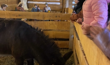 Betlejem: Żywa Szopka i wystwa 'Szopki świata'